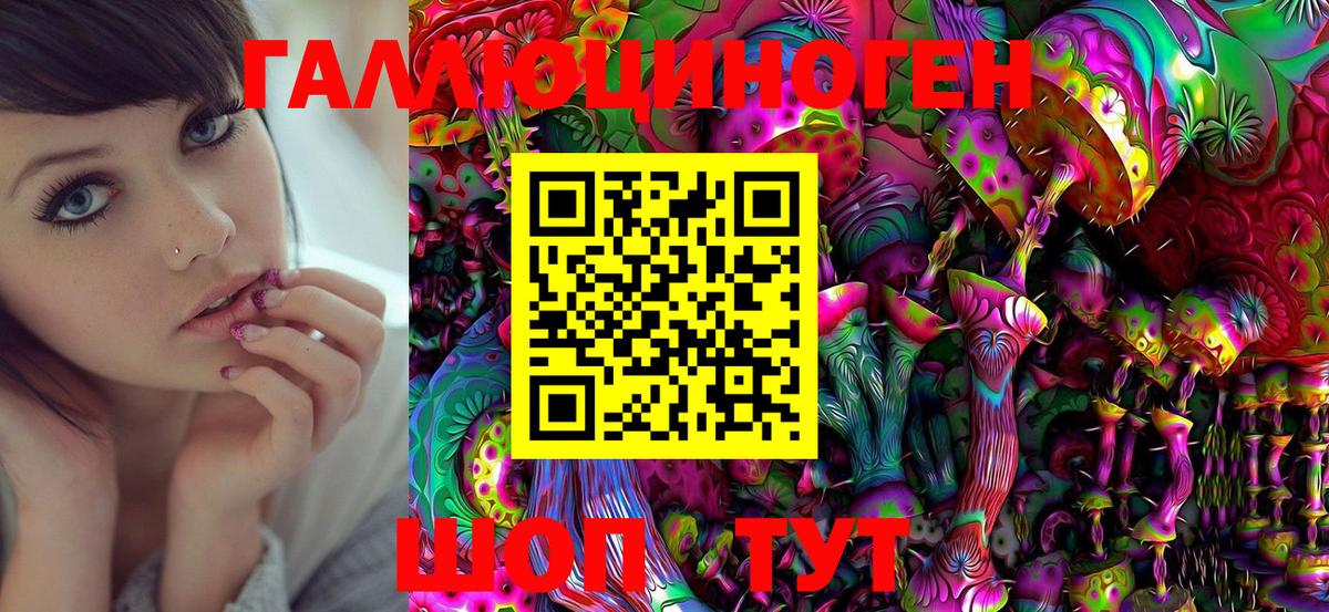 Псилоцибиновые грибы MAGIC MUSHROOMS  цена наркотик  Челябинск  Вход с VPN 